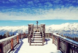 Ice Melt for Wood Decks: How to Keep Wooden Deck & Steps Ice-Free?