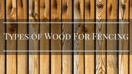 What Is The Best Wood for Fencing?