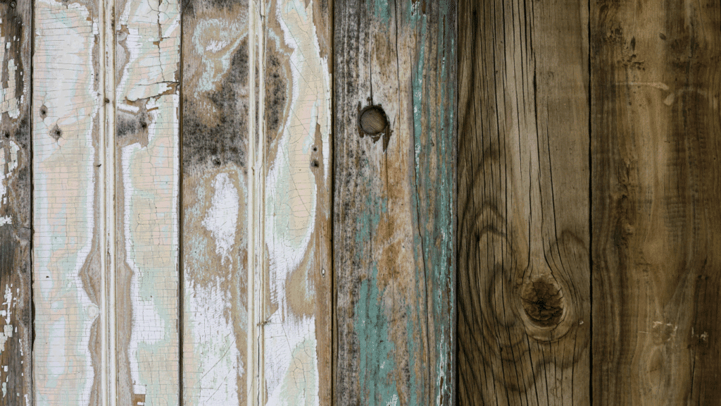 How to Stain and Protect Your Fence from Weather Damage